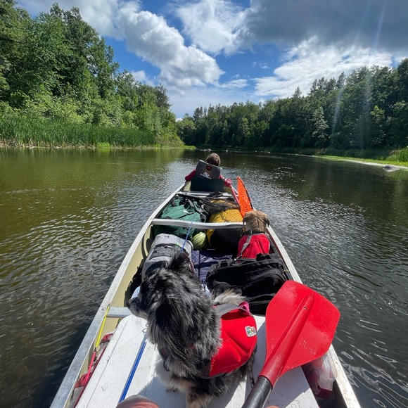 Meet your Posher, C cordelia - Picture 8 of 15